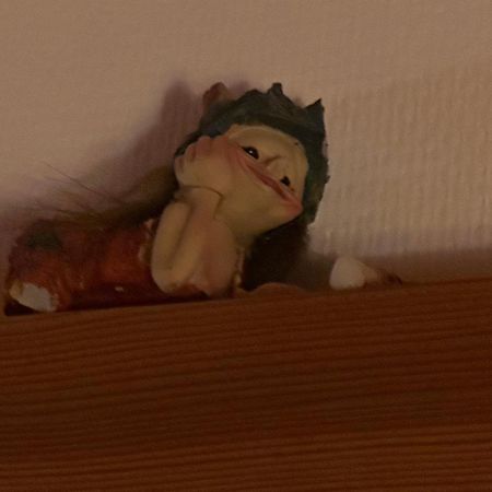 Trollhus - Grosses Familienfreundliches Ferienhaus 博恩 外观 照片