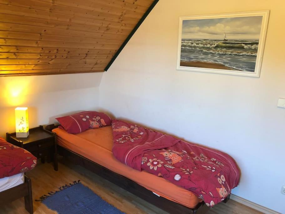 Trollhus - Grosses Familienfreundliches Ferienhaus 博恩 外观 照片