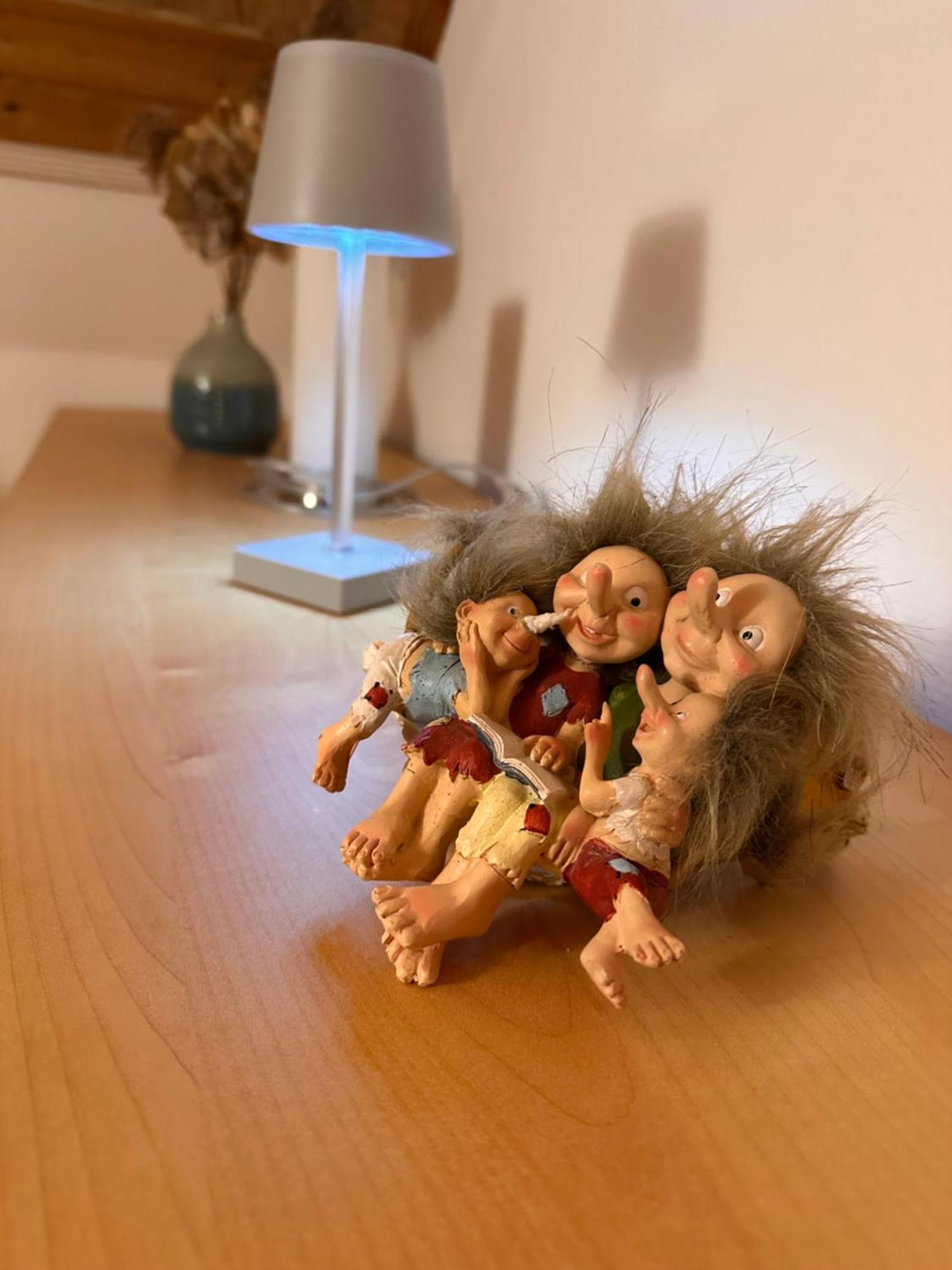 Trollhus - Grosses Familienfreundliches Ferienhaus 博恩 外观 照片