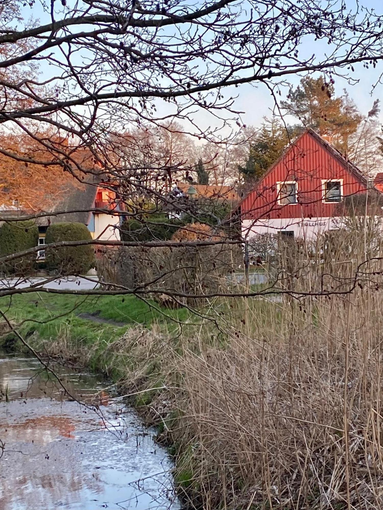 Trollhus - Grosses Familienfreundliches Ferienhaus 博恩 外观 照片